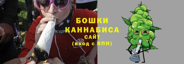 прущие грибы Беломорск