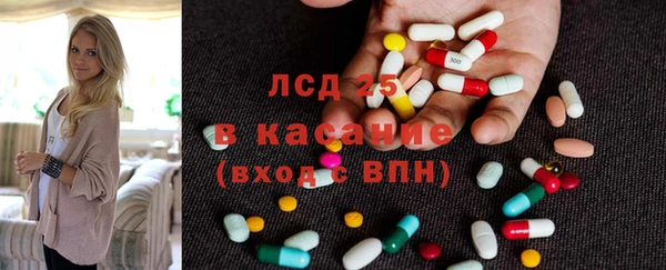 прущие грибы Беломорск
