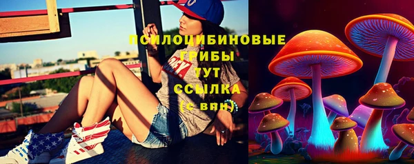 spice Горнозаводск