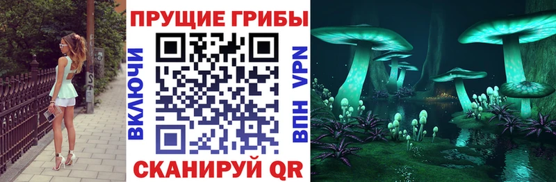 Псилоцибиновые грибы мухоморы  Мглин 
